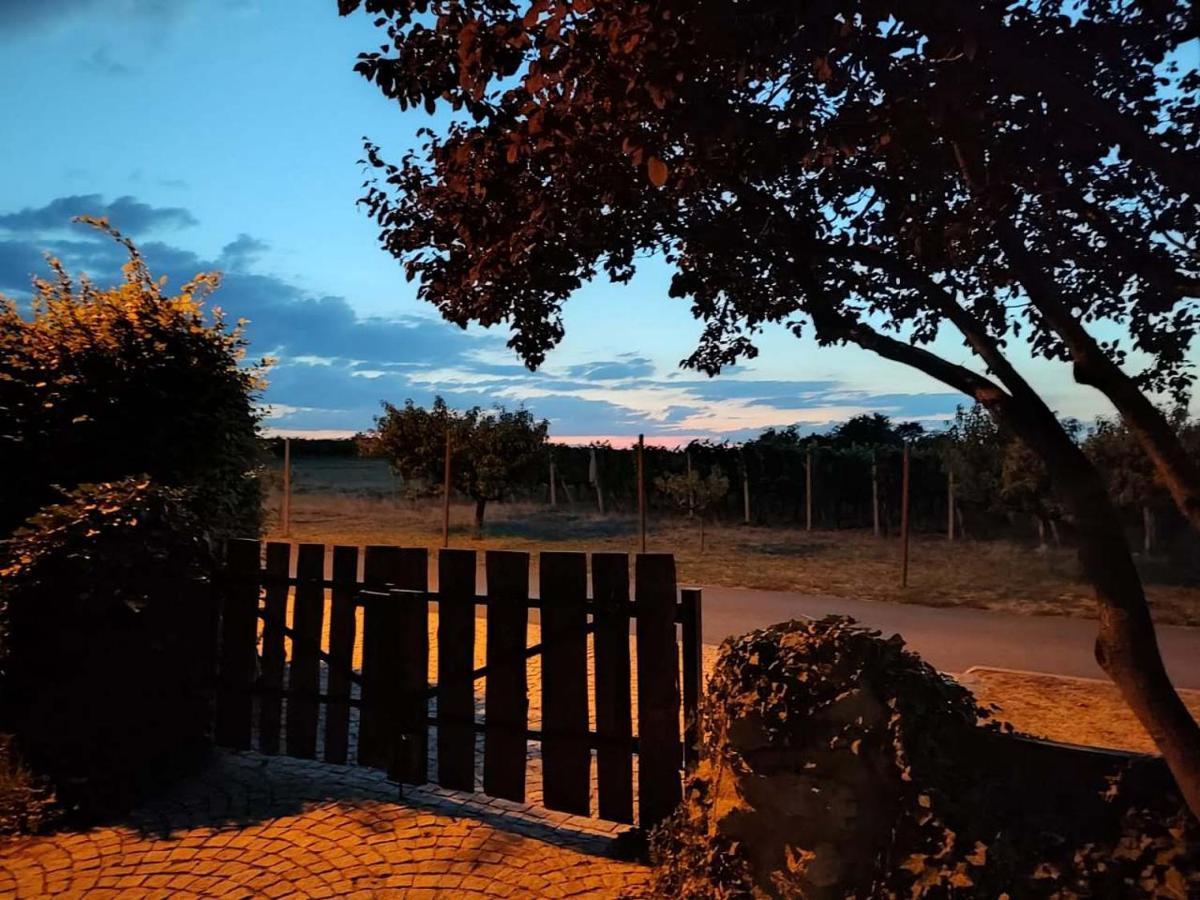 Ubytovani V Soukromi Na Sadove 906 - Valtice Esterno foto